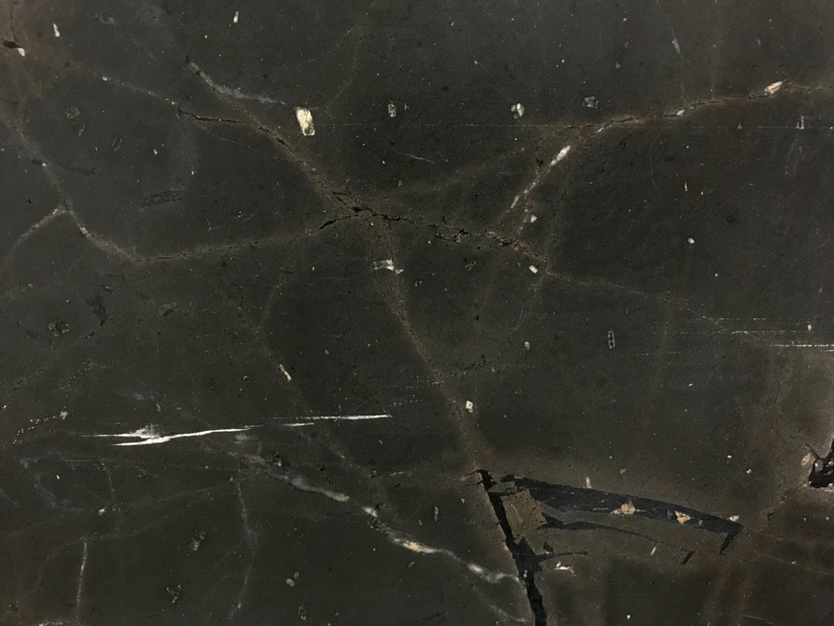 quartzite-black-diamond-honed-02-inpires-granite-myrtle-beach-sc